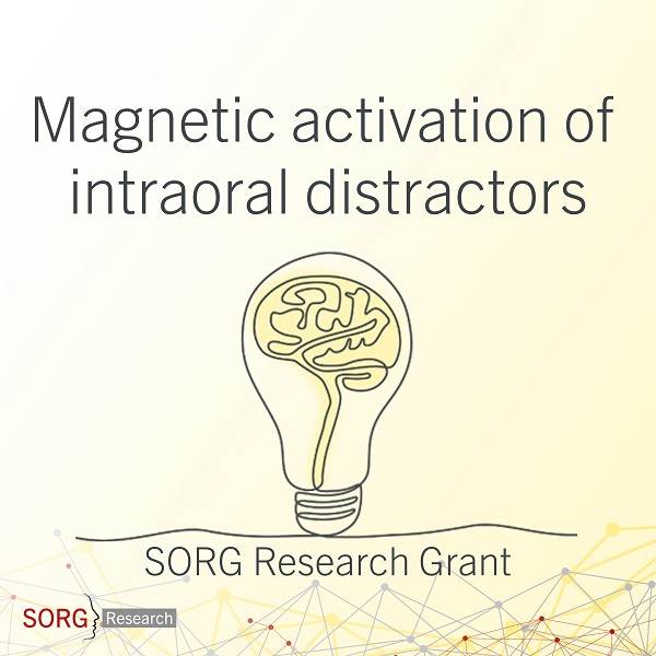 SORG Research Grant