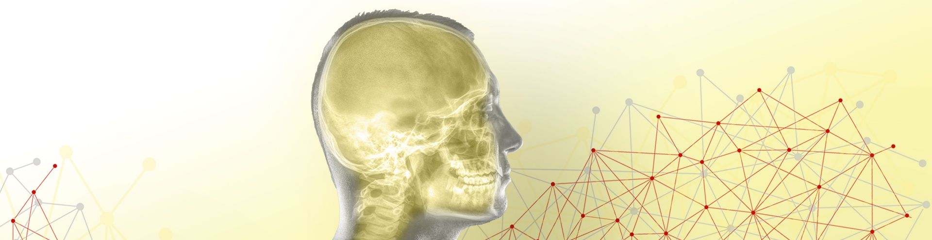 Section craniofacial